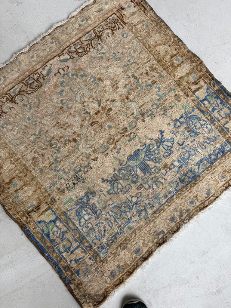 SQUARE Airy Lilihan Hamadan | Beige, Butter, Blue, Rose, Champagne | 3.2 x 3.3