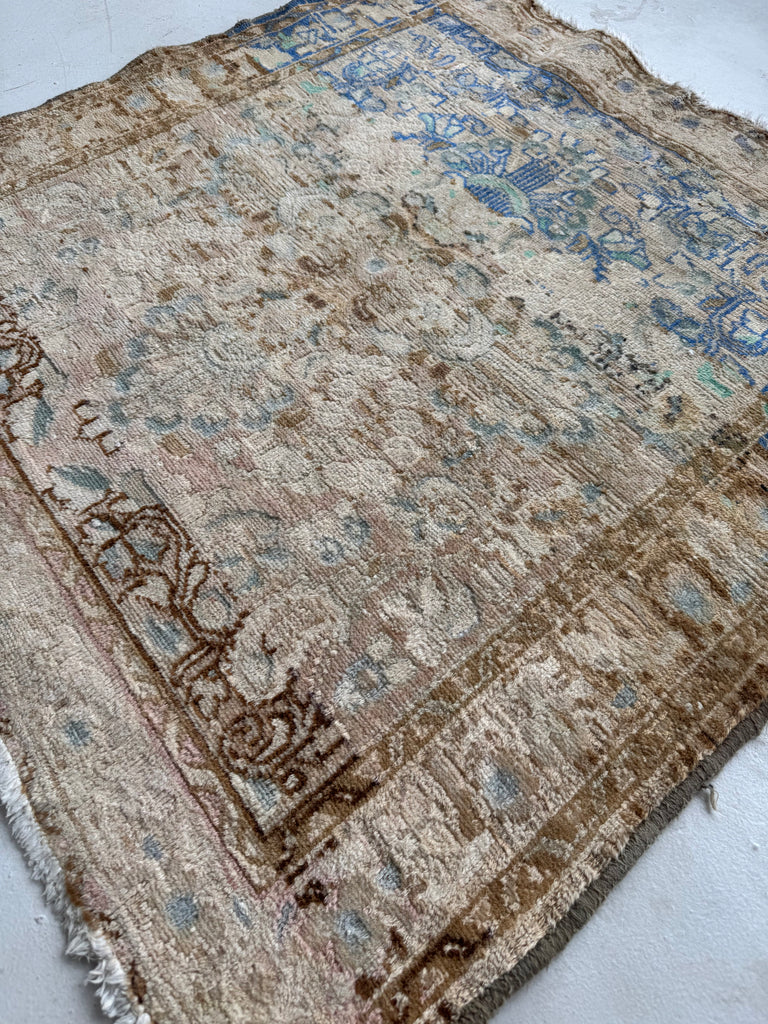 SQUARE Airy Lilihan Hamadan | Beige, Butter, Blue, Rose, Champagne | 3.2 x 3.3