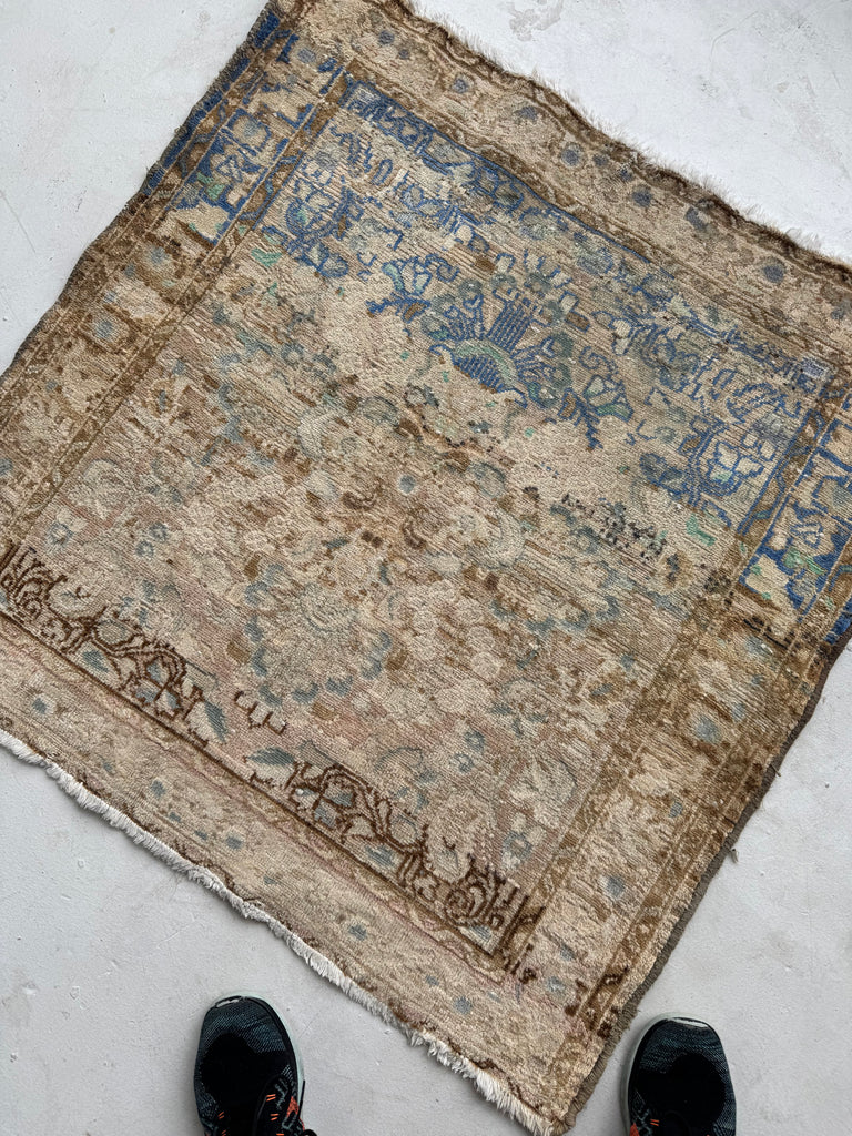 SQUARE Airy Lilihan Hamadan | Beige, Butter, Blue, Rose, Champagne | 3.2 x 3.3