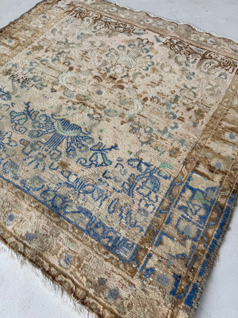 SQUARE Airy Lilihan Hamadan | Beige, Butter, Blue, Rose, Champagne | 3.2 x 3.3