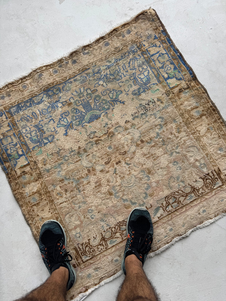 SQUARE Airy Lilihan Hamadan | Beige, Butter, Blue, Rose, Champagne | 3.2 x 3.3
