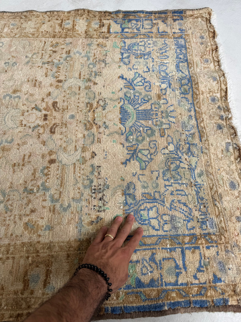SQUARE Airy Lilihan Hamadan | Beige, Butter, Blue, Rose, Champagne | 3.2 x 3.3