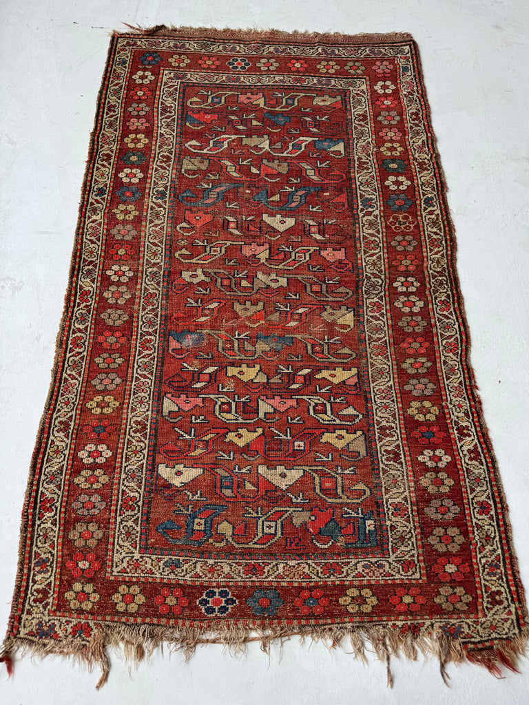 FUNKY Antique Kurdish with INCREDIBLE Flower Border | Variations of Reds, Camel, and Blues | 3.9 x 5.10