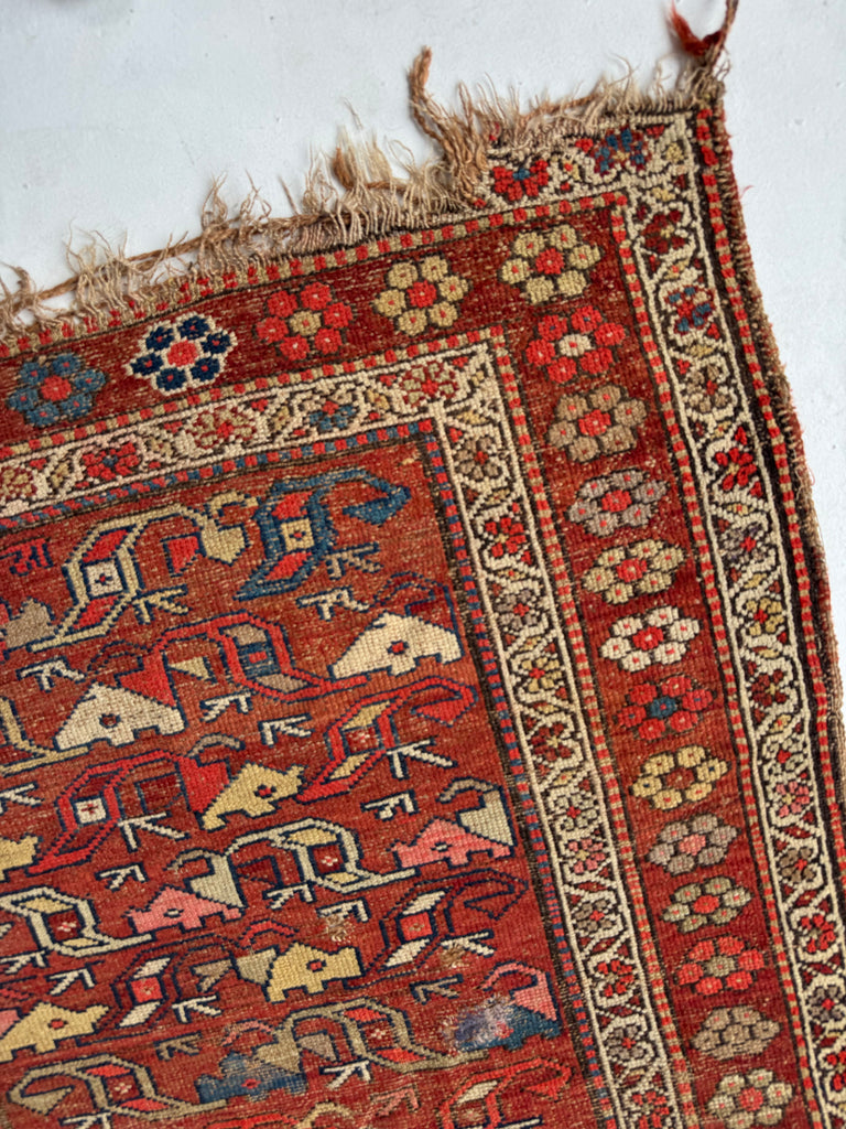 FUNKY Antique Kurdish with INCREDIBLE Flower Border | Variations of Reds, Camel, and Blues | 3.9 x 5.10