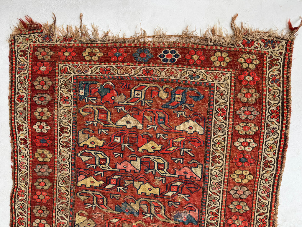 FUNKY Antique Kurdish with INCREDIBLE Flower Border | Variations of Reds, Camel, and Blues | 3.9 x 5.10