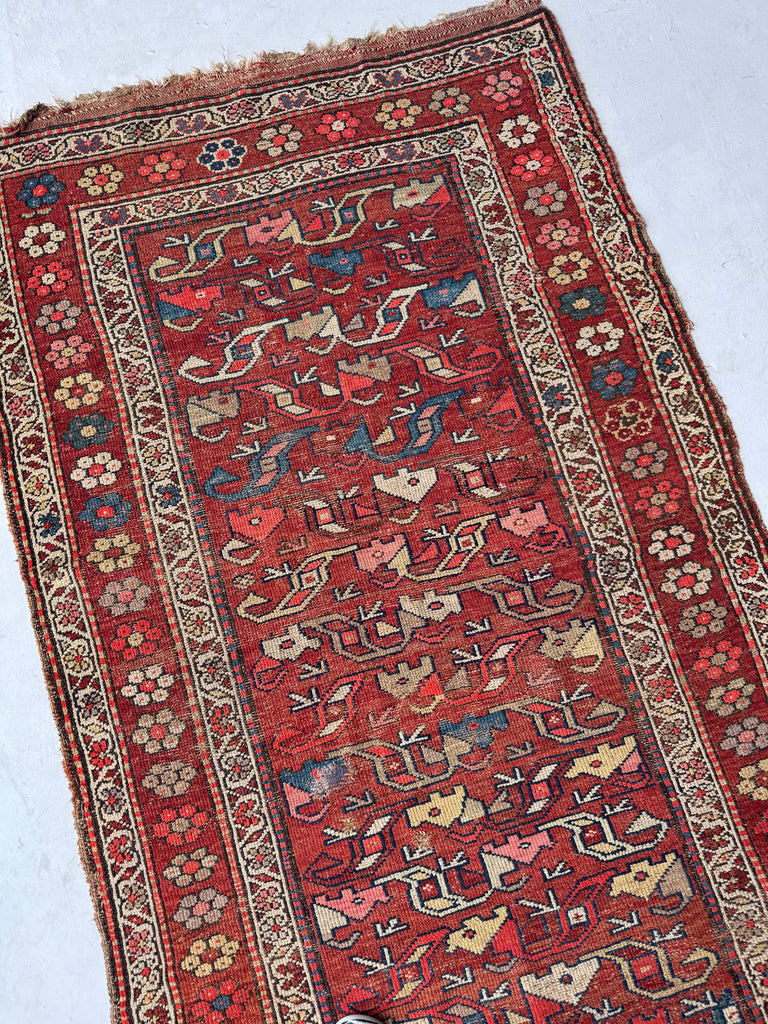 FUNKY Antique Kurdish with INCREDIBLE Flower Border | Variations of Reds, Camel, and Blues | 3.9 x 5.10