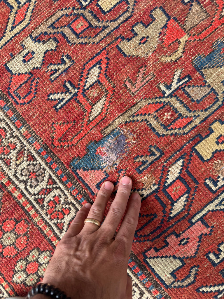 FUNKY Antique Kurdish with INCREDIBLE Flower Border | Variations of Reds, Camel, and Blues | 3.9 x 5.10