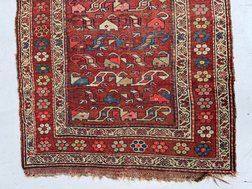 FUNKY Antique Kurdish with INCREDIBLE Flower Border | Variations of Reds, Camel, and Blues | 3.9 x 5.10
