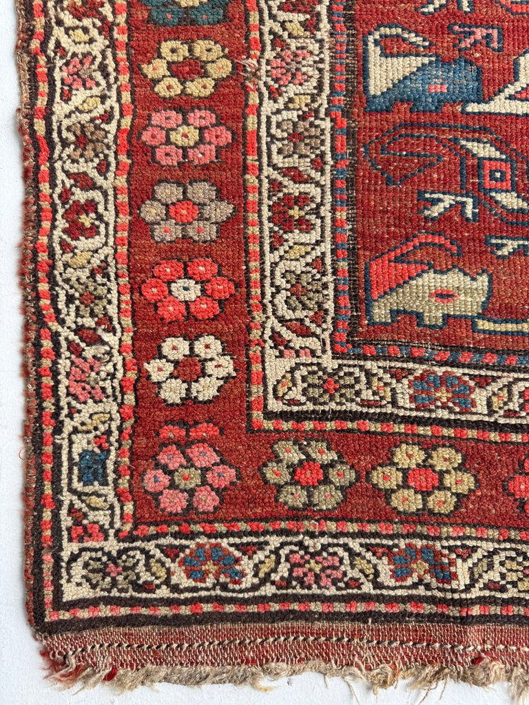 FUNKY Antique Kurdish with INCREDIBLE Flower Border | Variations of Reds, Camel, and Blues | 3.9 x 5.10