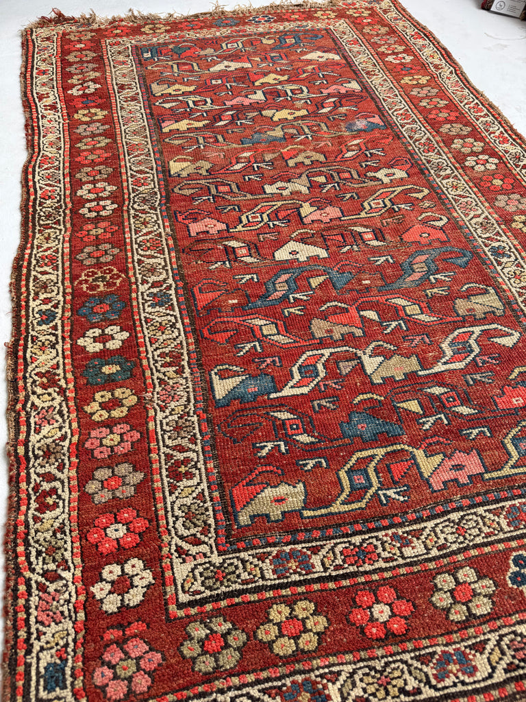 FUNKY Antique Kurdish with INCREDIBLE Flower Border | Variations of Reds, Camel, and Blues | 3.9 x 5.10