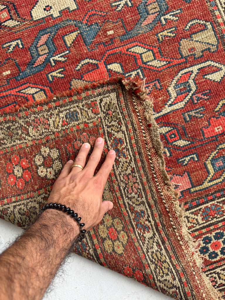 FUNKY Antique Kurdish with INCREDIBLE Flower Border | Variations of Reds, Camel, and Blues | 3.9 x 5.10