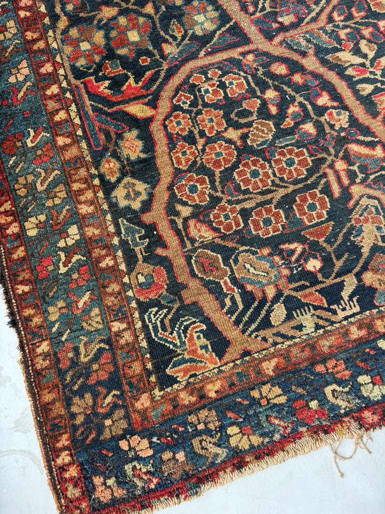 EXOTIC Growing Tree of Life | Deep Navy, Rusty, Camel with Hidden Bird | 4.6 x 6.8