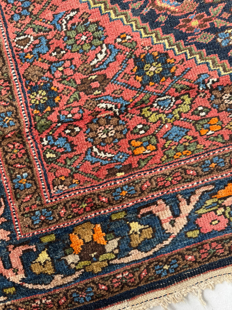 DYNAMITE Vintage Bidjar | Stunning Shifting Dyes with Lemon, Storm Green, Sky Blue | 4.7 x 6.2