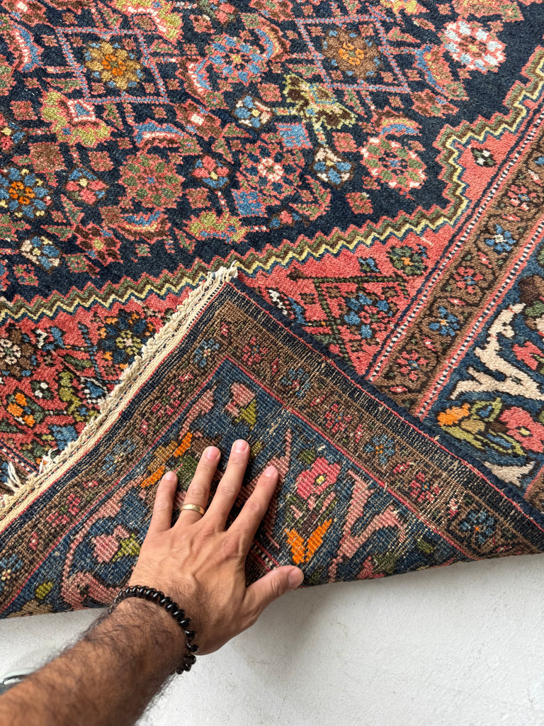 DYNAMITE Vintage Bidjar | Stunning Shifting Dyes with Lemon, Storm Green, Sky Blue | 4.7 x 6.2