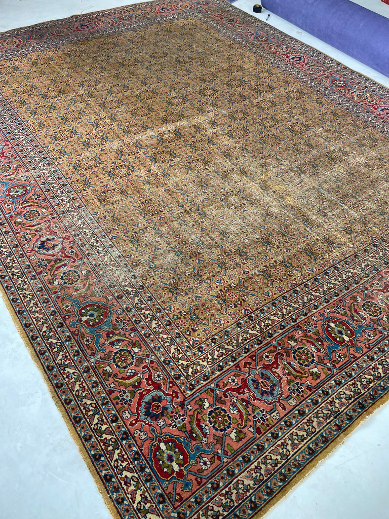 MUSTARD SAFFRON & SALMON Designer Antique Tabriz in Herati Design  | 9.3. x 12.3