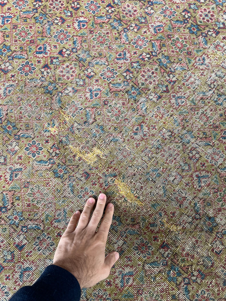 MUSTARD SAFFRON & SALMON Designer Antique Tabriz in Herati Design  | 9.3. x 12.3