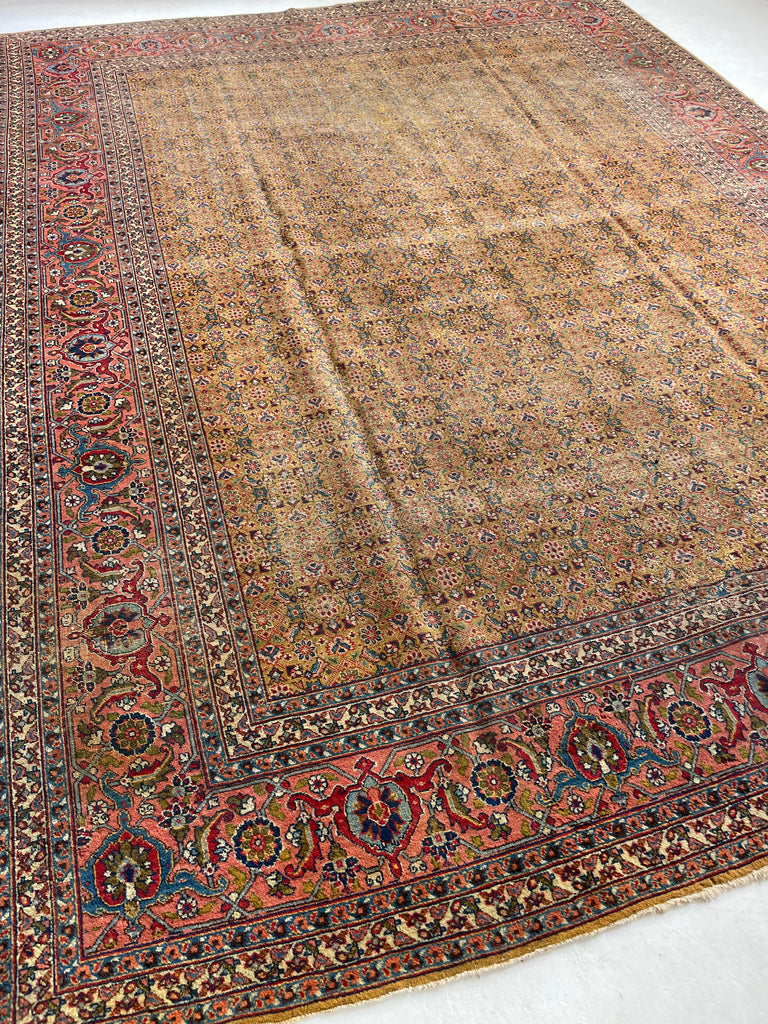 MUSTARD SAFFRON & SALMON Designer Antique Tabriz in Herati Design  | 9.3. x 12.3