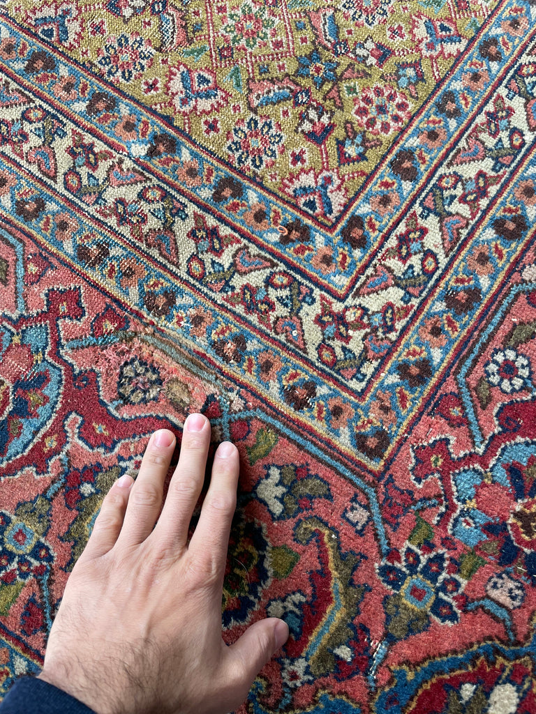 MUSTARD SAFFRON & SALMON Designer Antique Tabriz in Herati Design  | 9.3. x 12.3
