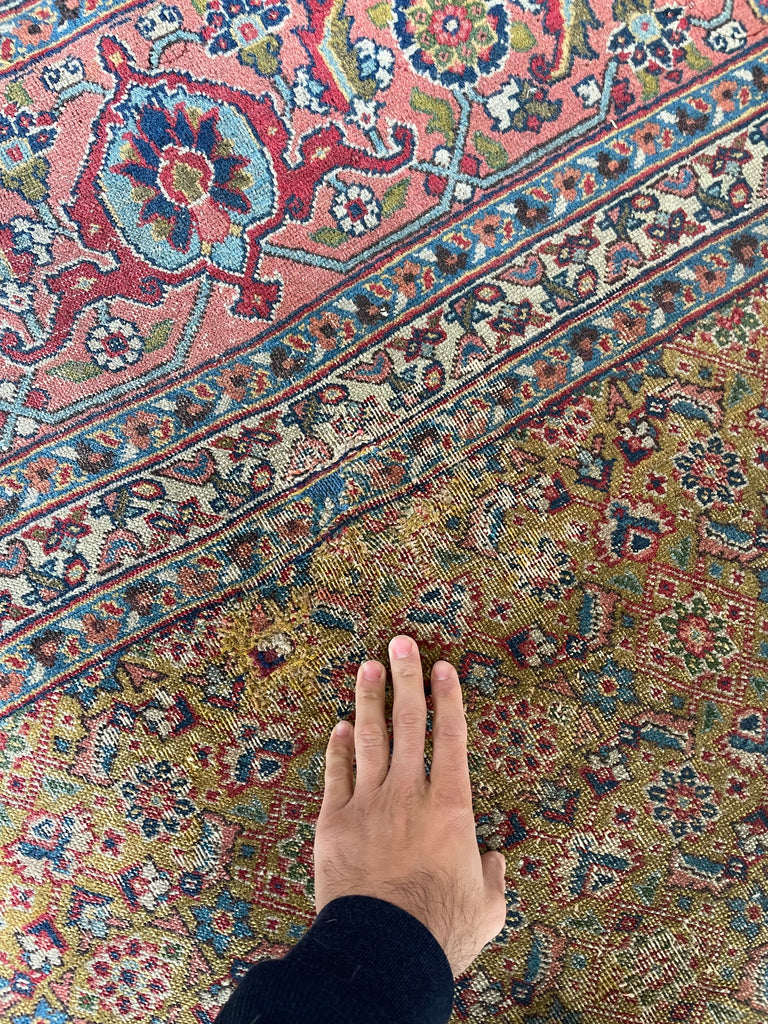 MUSTARD SAFFRON & SALMON Designer Antique Tabriz in Herati Design  | 9.3. x 12.3
