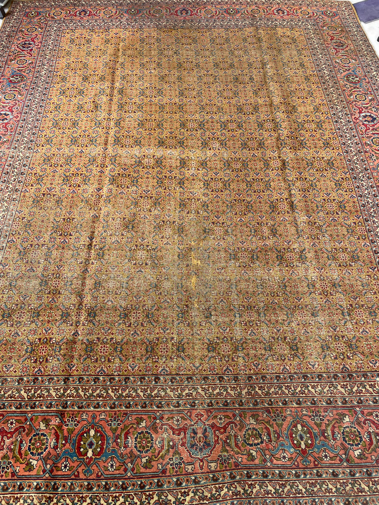 MUSTARD SAFFRON & SALMON Designer Antique Tabriz in Herati Design  | 9.3. x 12.3