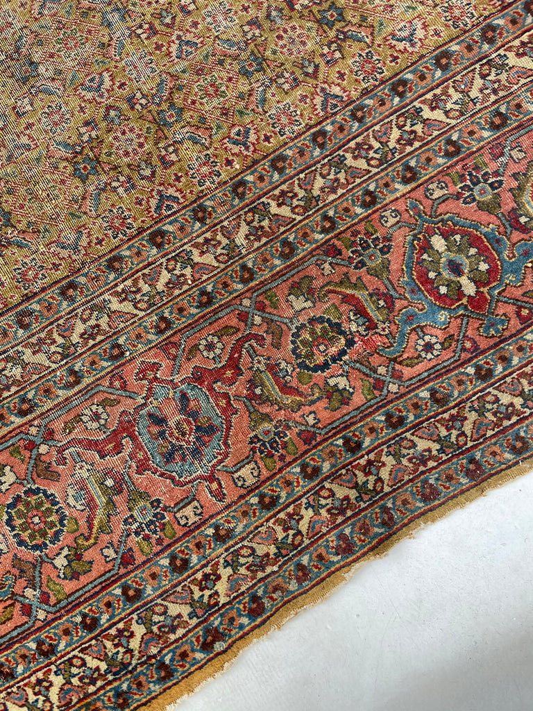 MUSTARD SAFFRON & SALMON Designer Antique Tabriz in Herati Design  | 9.3. x 12.3