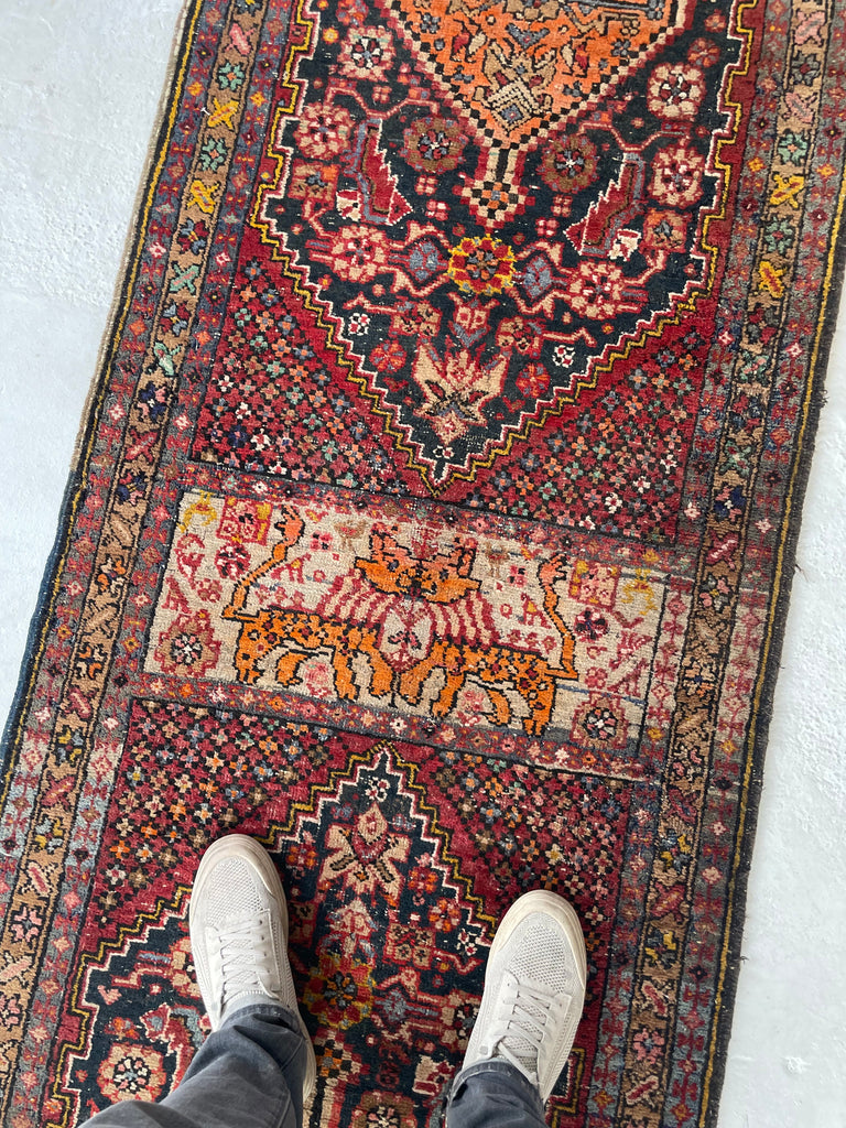 KISSING LIONS / LEOPARDS 😘  Rare & Decorative Antique Runner with Duel Feline Subjects [Wedding Rug?] | 2.11 x 10.6
