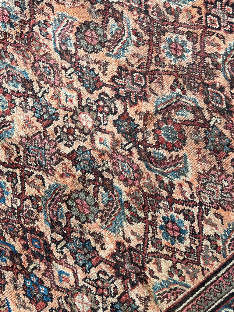 RESERVED FOR ANNA STONEHOUSE DESIGN*** BEAUTIFUL Apricot & Ice Blue Antique Mahal | Unique Color with Nice Plush Wool | ~ 8 x 10