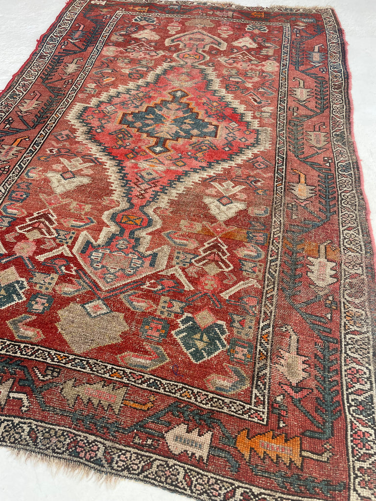 UNIQUE Kilim Design Antique Malayer with Beautiful Palette | 3.10 x 6