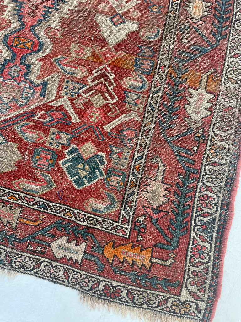 UNIQUE Kilim Design Antique Malayer with Beautiful Palette | 3.10 x 6