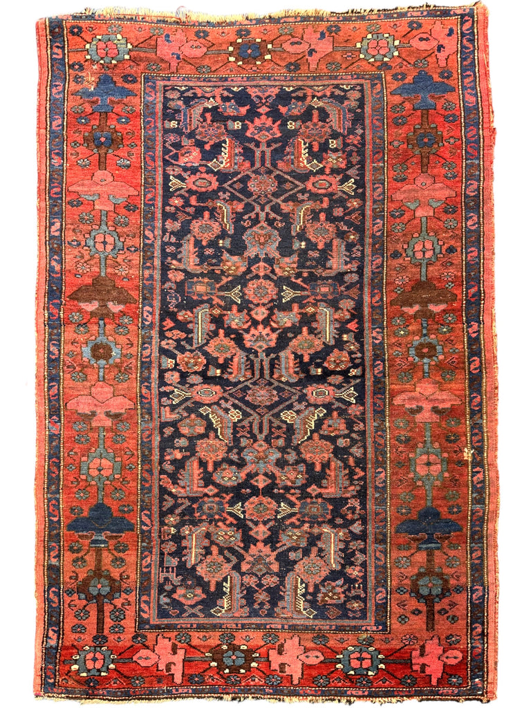SOLD | UNREAL BORDER BIDJAR | Unusual Berry, Pomegranate & Raspberry Border | 4.2 x 6.6