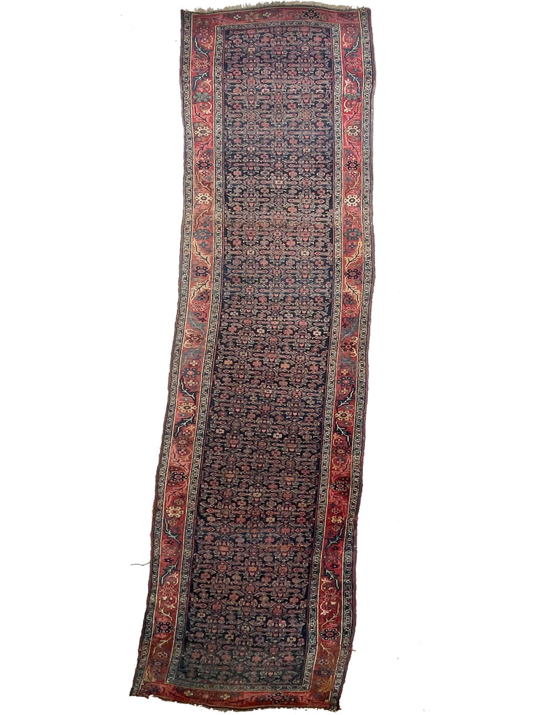 20 FEET LONG!! Gorgeous Antique Halvai Bidjar with Growing Vine Border | 4 x 20.3