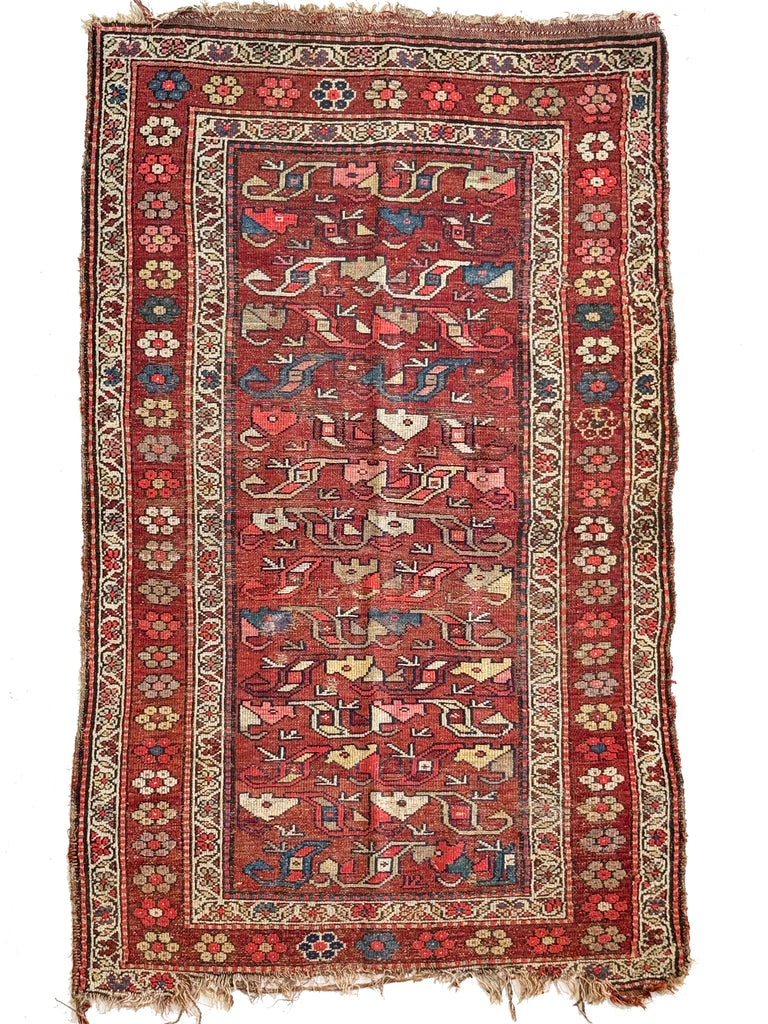 FUNKY Antique Kurdish with INCREDIBLE Flower Border | Variations of Reds, Camel, and Blues | 3.9 x 5.10