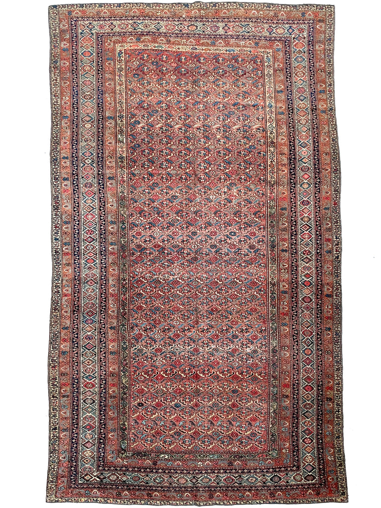 RARE SIZE Kurdish Gallery Runner Carpet  | Terracotta, Clay, Rust, Purple, Green, Blues, Etc |  6.6 x  12.4