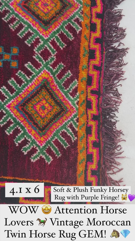 CHARMING Moroccan SISTER HORSE RUG | Vivid Enchanting Colors with Plush Wool Pile | 4 x 6