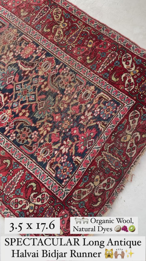 RAW BEAUTY Antique Halvai Bidjar Runner | GORGEOUS Boteh Border with Lime Greens | 3.6 x 17.7