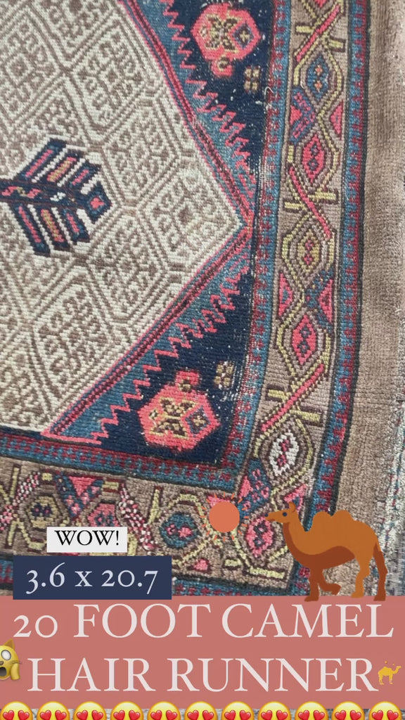 SOLD | 20+ FOOT LONG Brilliant Raw Nomadic Camel Hair Antique Runner | 3.6 x 20.7