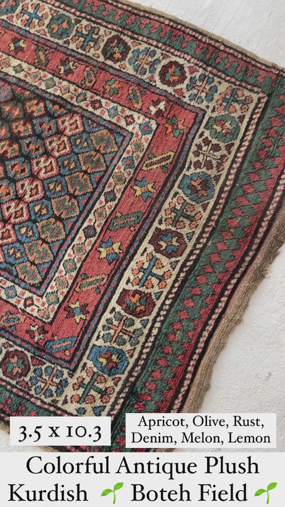 COLORFUL Kurdish Antique Runner | Ancient Plush Wool Beautiful Boteh Field | 3.5 x 10.3