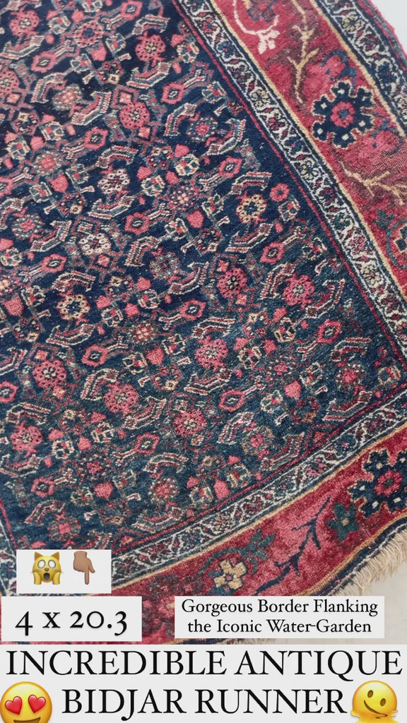20 FEET LONG!! Gorgeous Antique Halvai Bidjar with Growing Vine Border | 4 x 20.3
