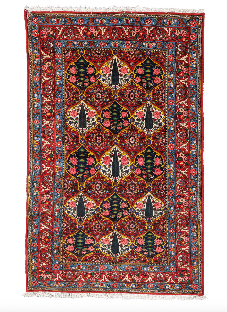 ICONIC Vintage Persian Bakhtiari | Saffron, Kiwi Green, Beautiful Birds and More | 5 x 8