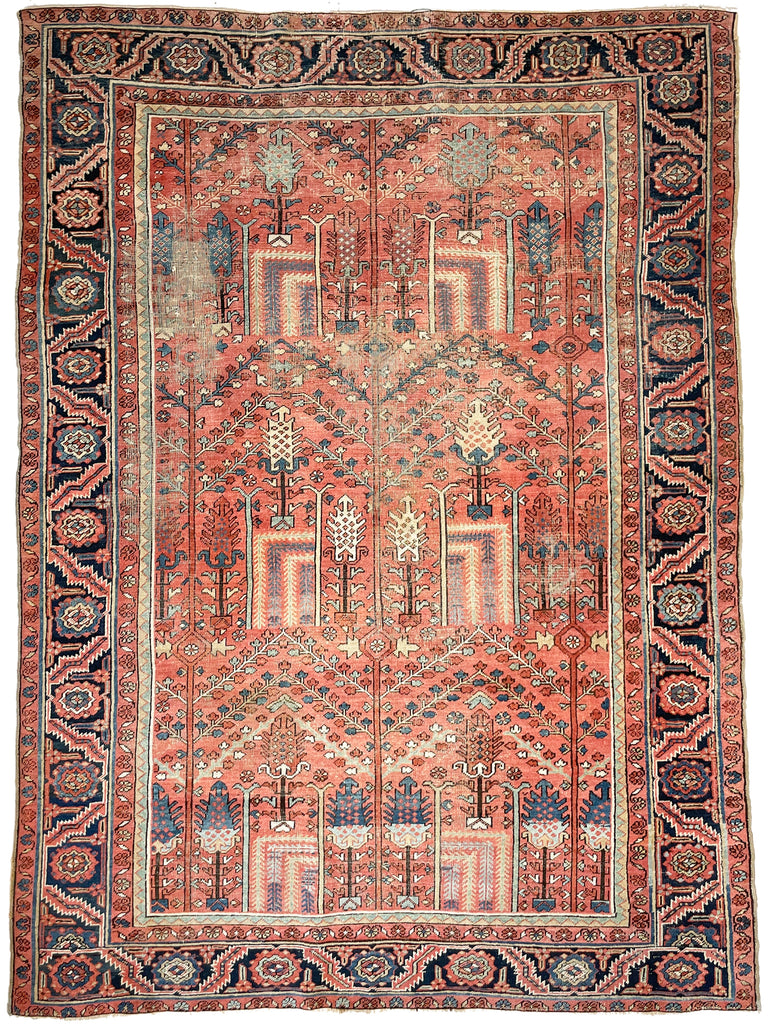 Reserved - Payment 1* RARE Collector's Willow Tree of Life Antique Persian Heriz Northwest Village Rug, C. 1915 | Salmon & Coral with Ice Blues and Teals | 9.5 x 12