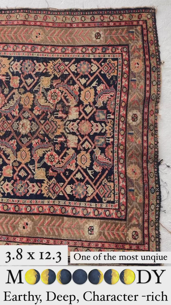 RESERVED FOR DANIEL*** Coming Soon... STUNNING Antique Malayer Runner | Gorgeous Water Garden Pattern with Rare Flower/Tree Border | 3.8 x 12.5