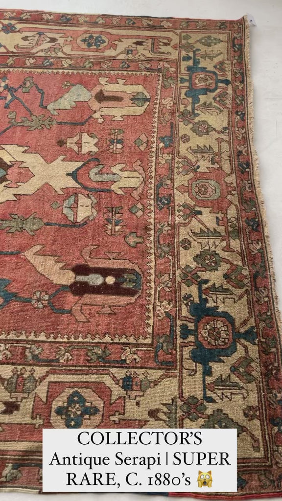 RAREST OF RARE | C. 1880's | ANCIENT MINT CONDITION ANTIQUE SERAPI | Unusually Oversized Narrow GEM w/ Gorg Natural Dyes | 8.10 x 15.1