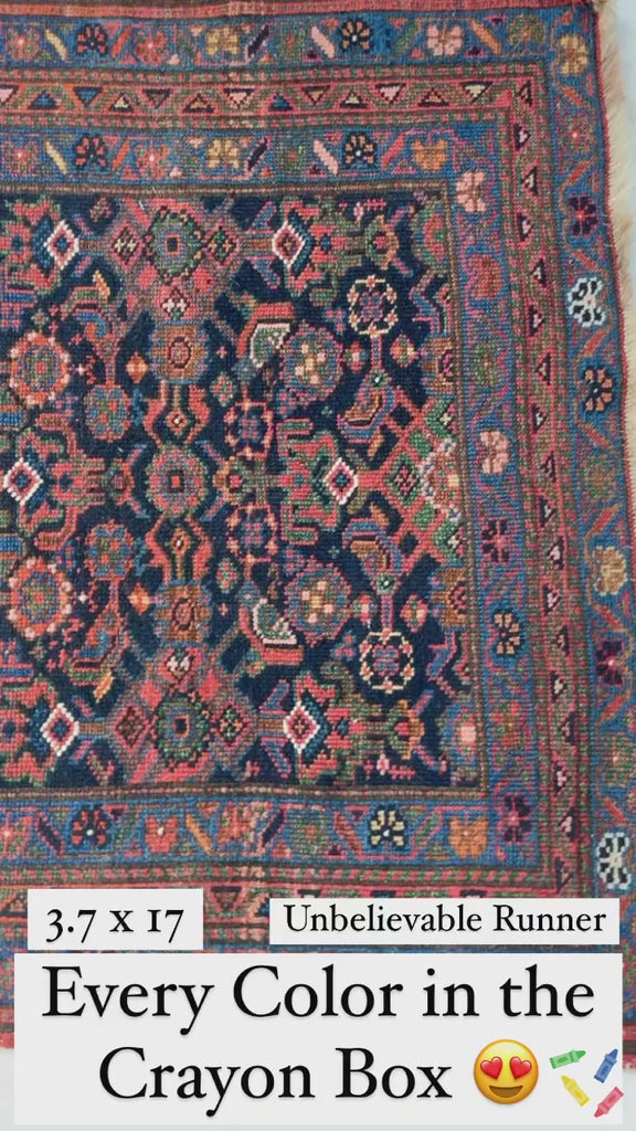 COLORFUL Antique Kurdish Runner | Saffron, Green, Punch, Blue, & Beyond | 3.7 x 17