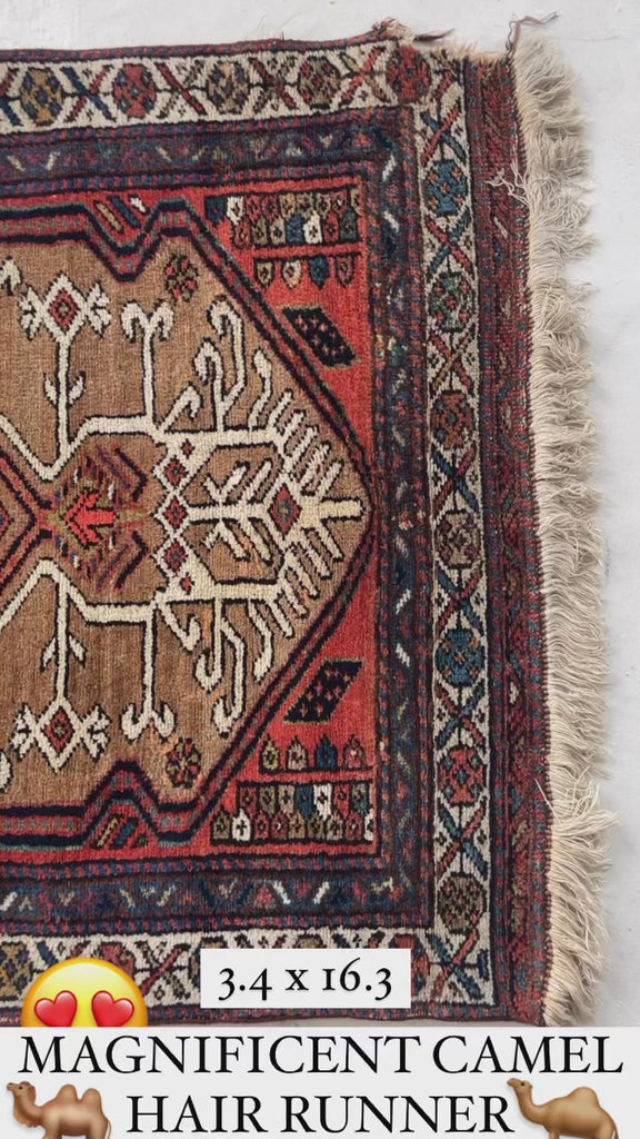 LONG CAMEL HAIR Runner - Terracotta, Blue, Camel, Beige & LIME Green | 3.4 x 16.3