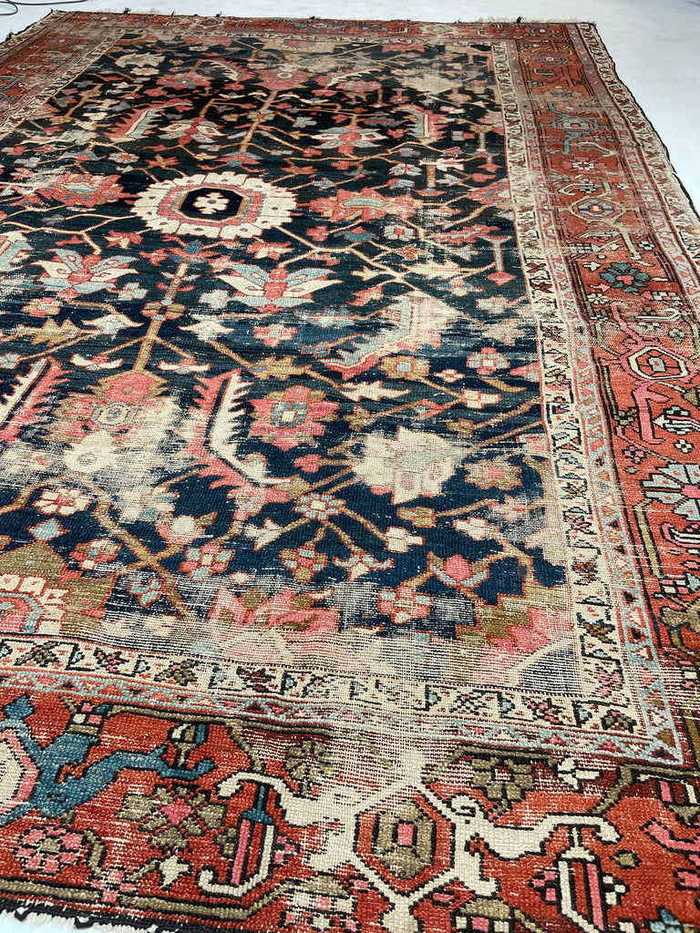 HIGHLY-COVETED Antique Midnight Blue-Black Indigo Blooming Jungle | Coral, Bakshayesh Blue, Camel, Raspberry | 8 x 11