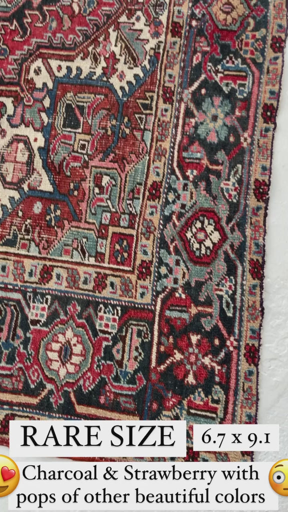 RARE Medium "Pocket-Size" Antique Heriz | Strawberry, Smokey Charcoal & more | 6.7 x 9.1