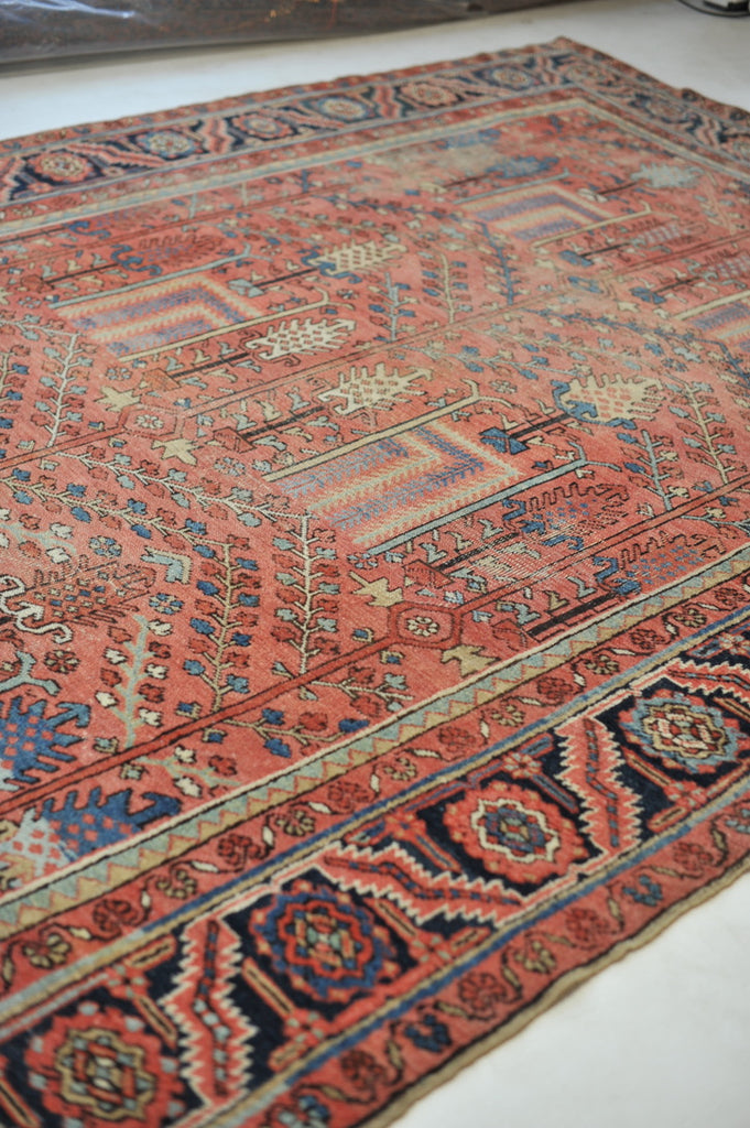 RESERVED FOR UZODINMA***  RARE Collector's Willow Tree of Life Antique Persian Heriz Northwest Village Rug, C. 1915 | Salmon & Coral with Ice Blues and Teals | 9.5 x 12