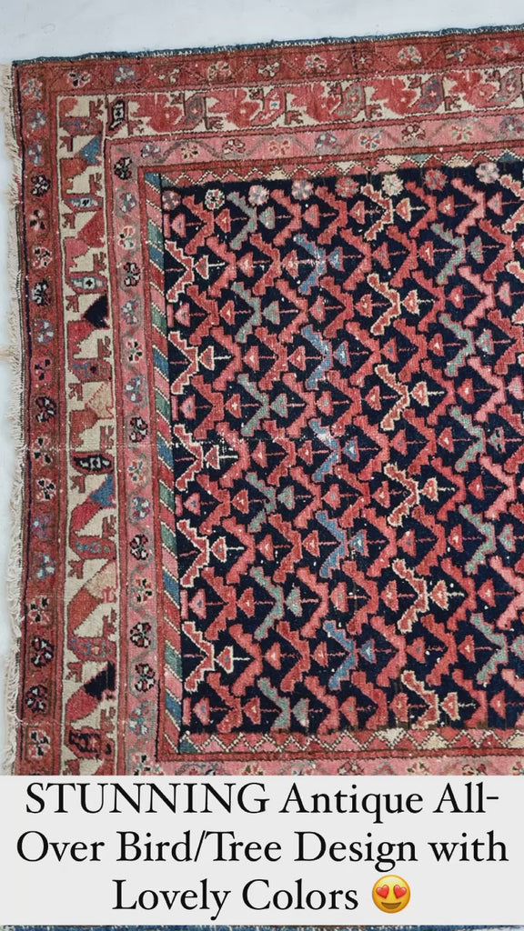 SOLD | Sophisticated & Whimsical Antique Rug | All-Over Bird & Tree Design with EVERY Color! | 4.1 x 6.1