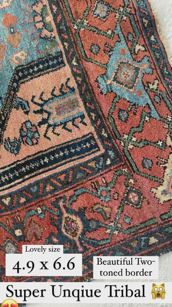 WILDLY Beautiful Antique Persian Zanjan | Unique 2-Tone Border - Funky Boho Piece | 4.9 x 6.6