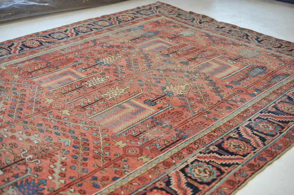 RESERVED FOR UZODINMA***  RARE Collector's Willow Tree of Life Antique Persian Heriz Northwest Village Rug, C. 1915 | Salmon & Coral with Ice Blues and Teals | 9.5 x 12